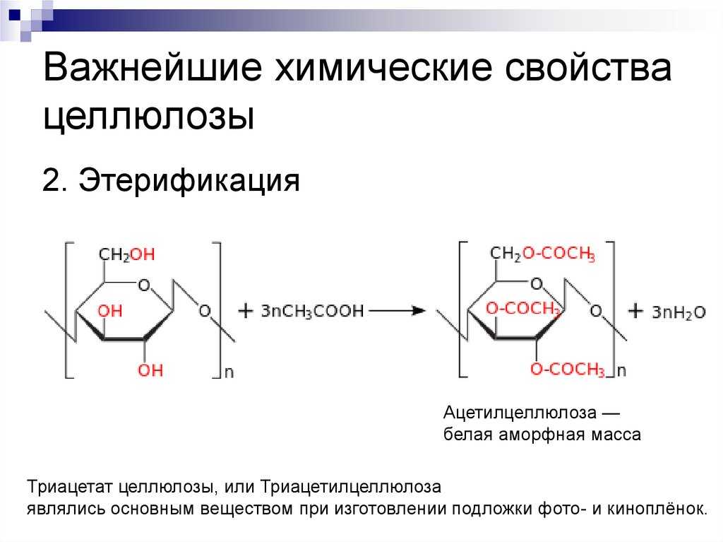 Целлюлоза