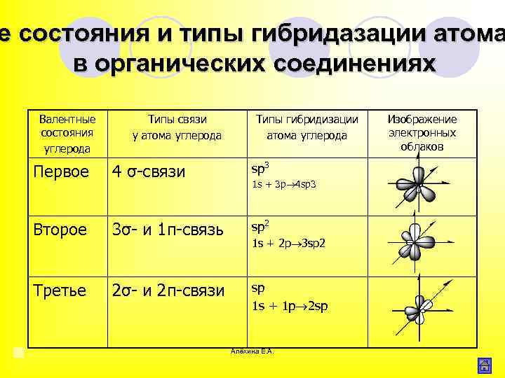 Гибридизация нуклеиновых кислот
