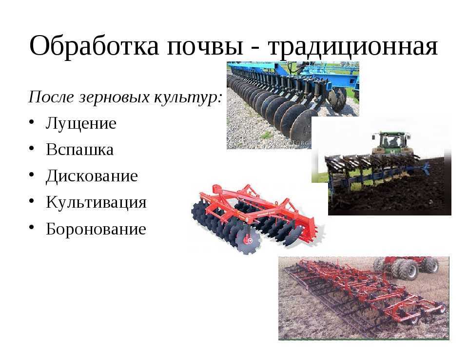 Главные правила сенокоса – практические советы
