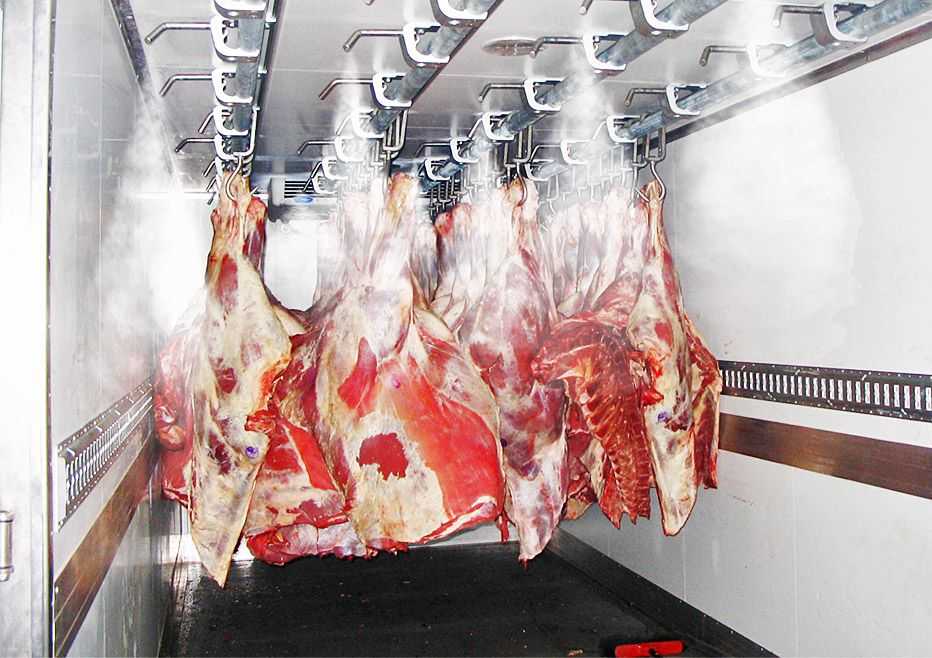 Ветеринарно-санитарный и производственный контроль при консервировании мяса и мясопродуктов. обработка мяса холодом