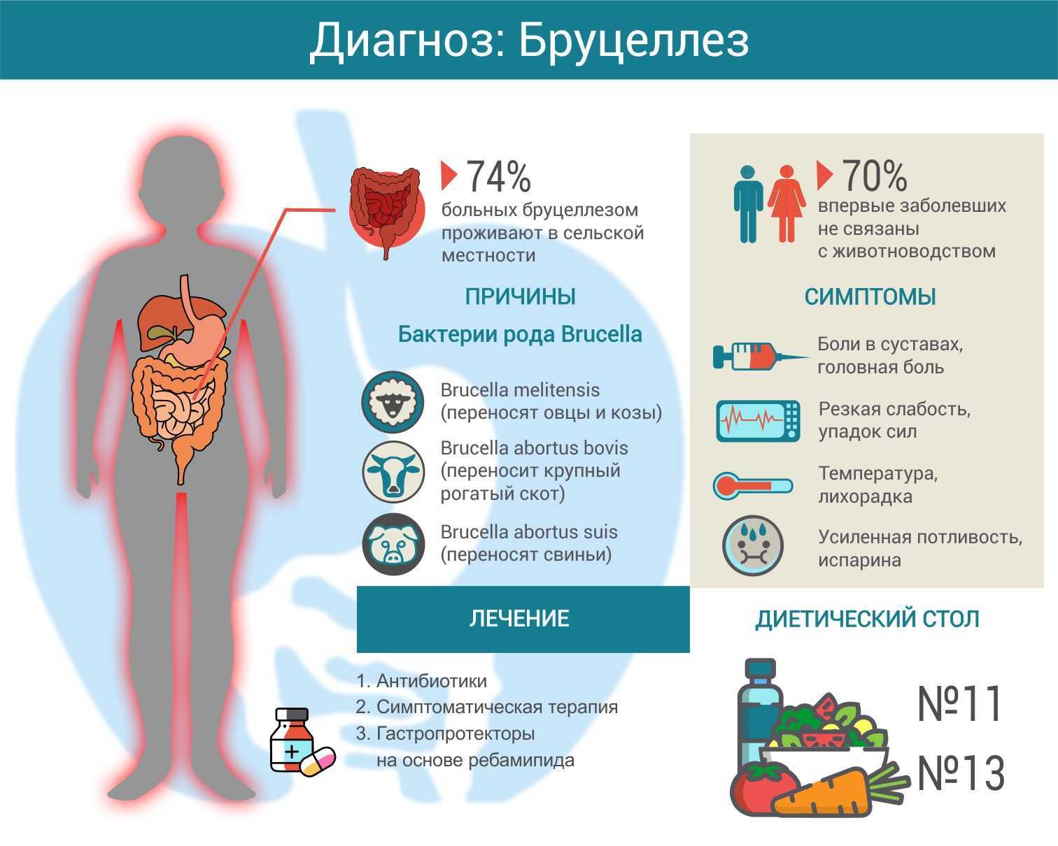 Могут ли лошади болеть бруцеллезом