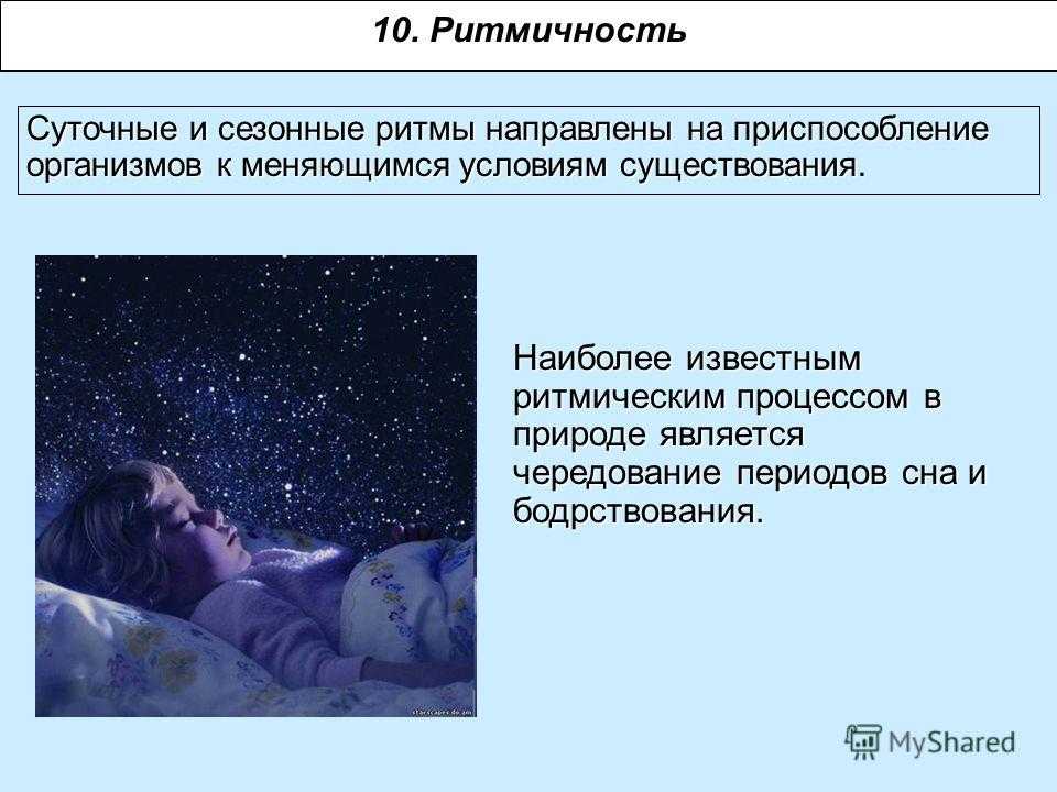 Циркадные ритмы