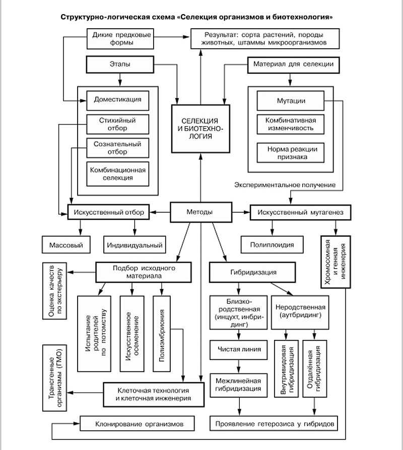 Селекция. биотехнология. | егэ по биологии