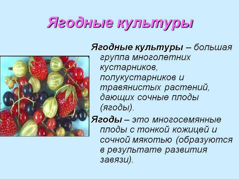 Дубильные вещества
