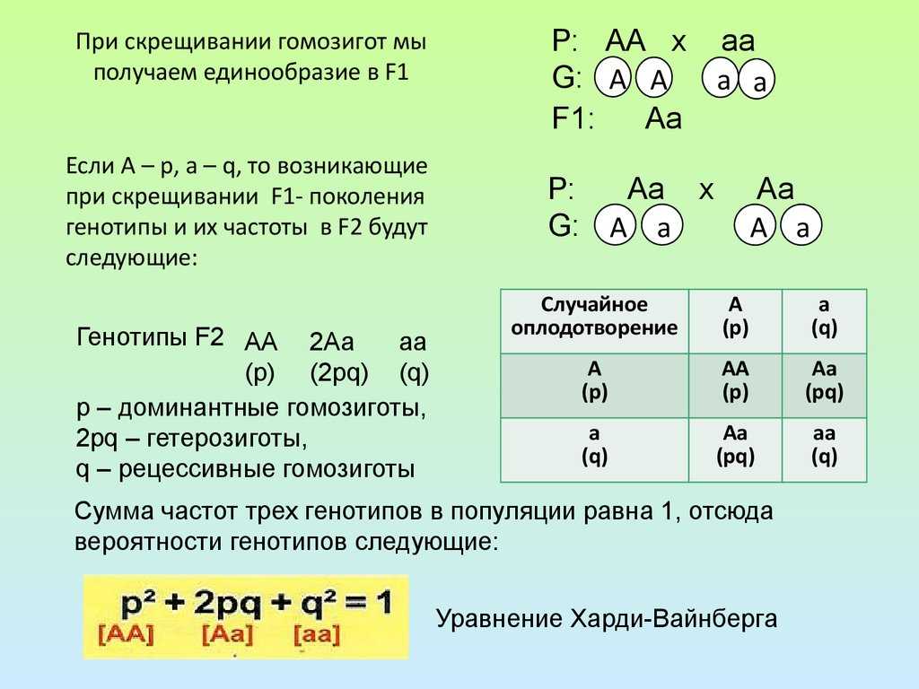 36. организм как биологическая система
                                читать 0 мин.
