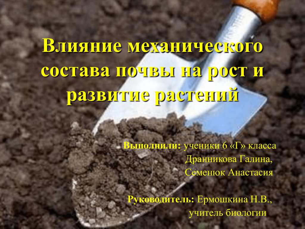 Подготовка почвы [1987 ерохина в.и., жеребцова г.п., вольфтруб т.и., покалов о.н., шурова г.в. - озеленение населенных мест. справочник]