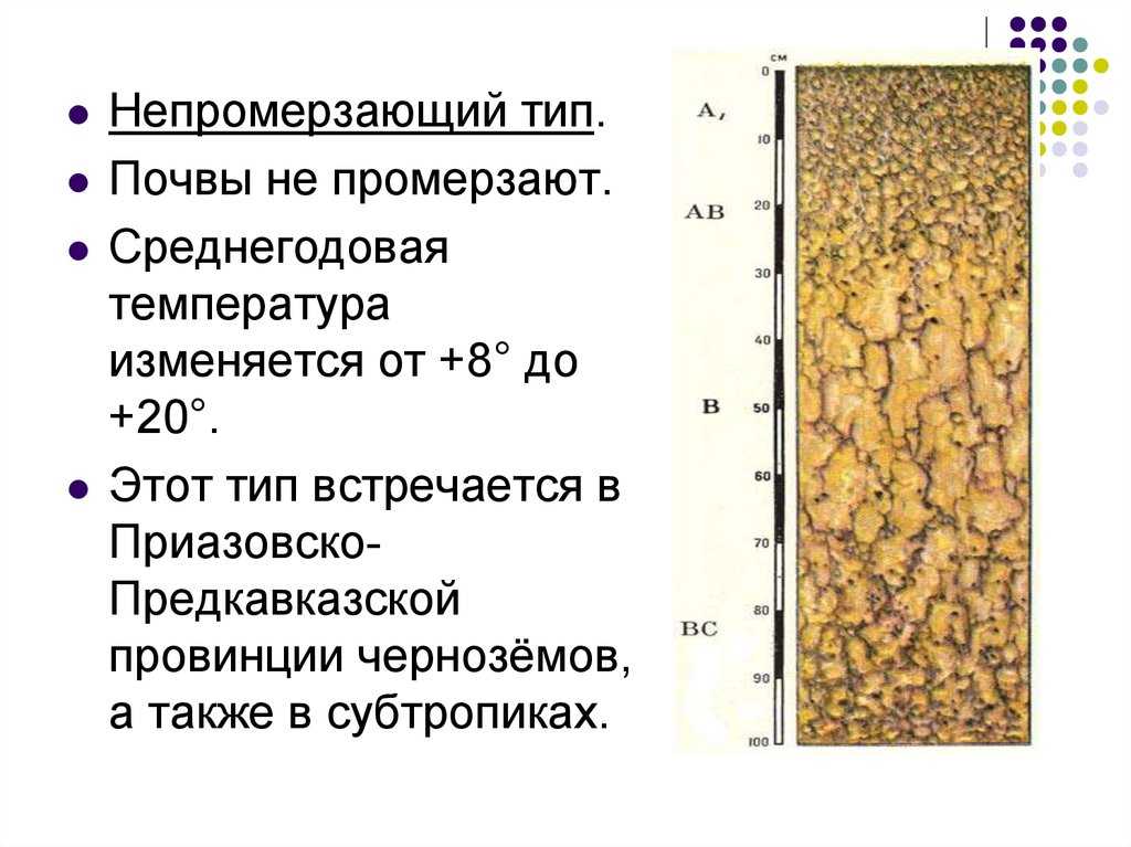 Тепловые свойства и тепловой режим почв: что это такое?
