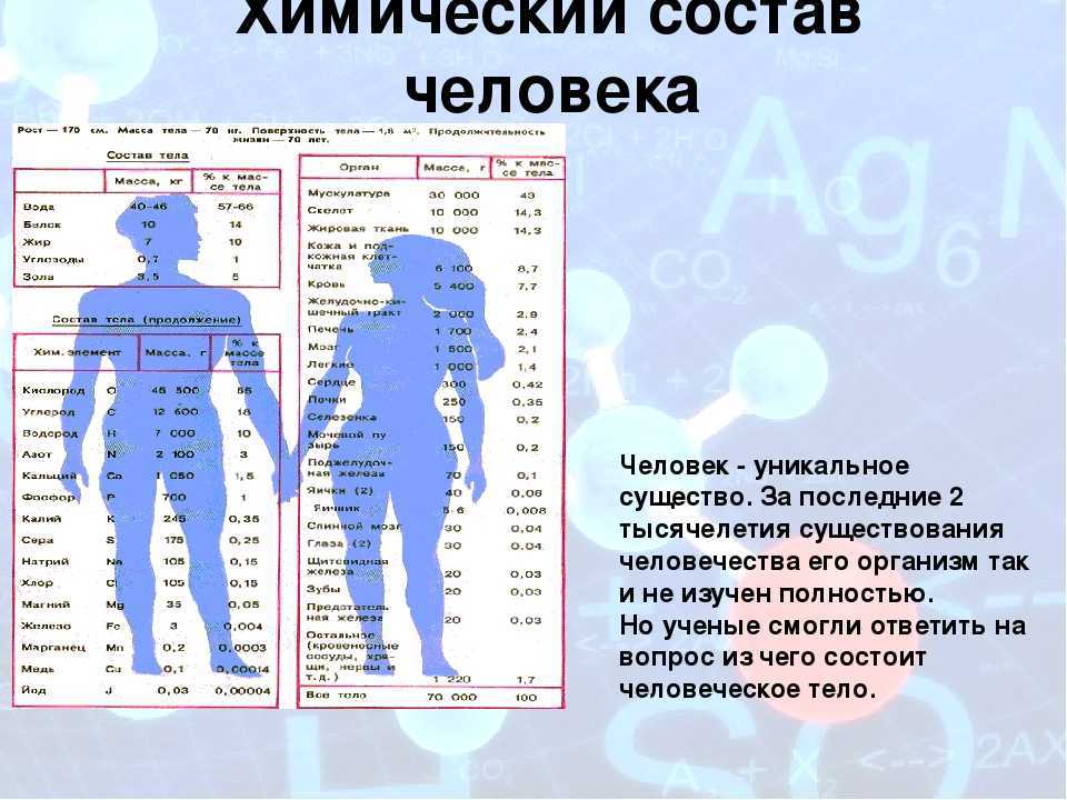 Состав спермы: что входит в состав спермы человека, как улучшить её качество