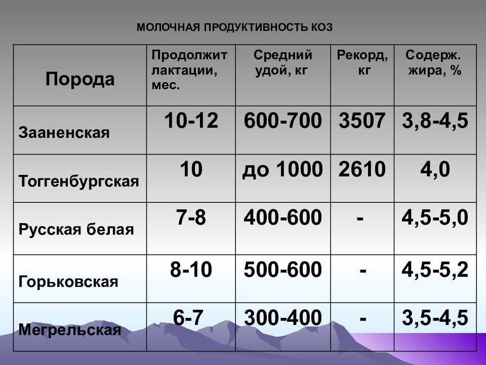 Биологические и породные особенности домашней козы - сад, огород, ферма