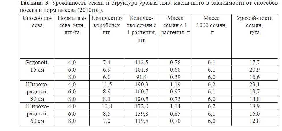 Ранний весенний и подзимний сев моркови