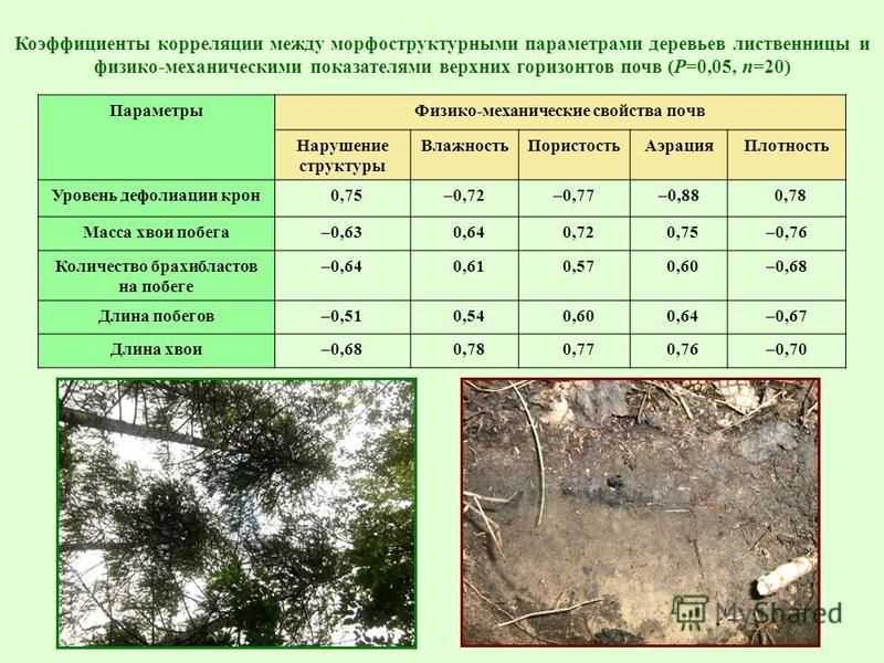 Физико механические свойство почв