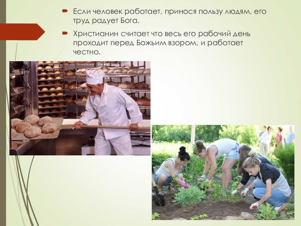 Иван владимирович мичурин — краткая биография