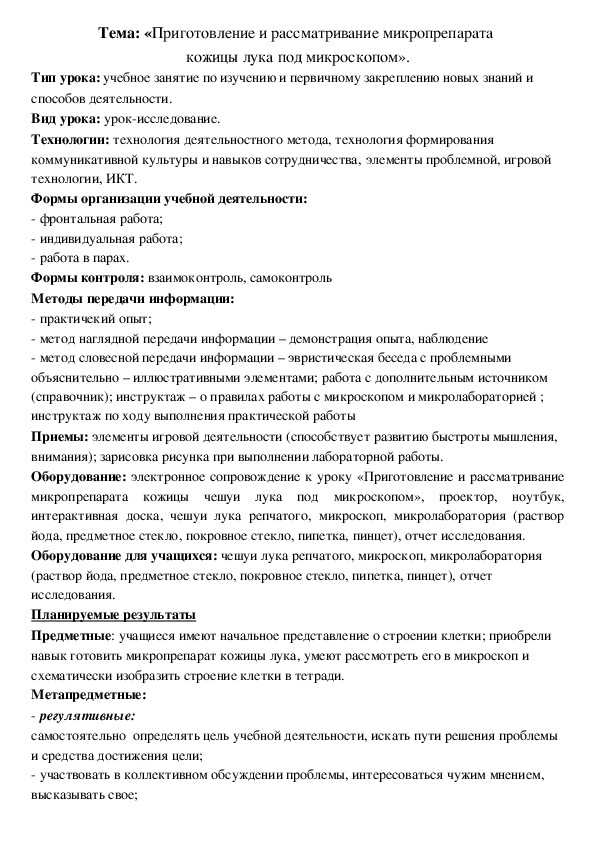 Строение луковицы лука. лук репчатый