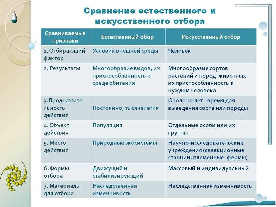 Селекция, основы селекции