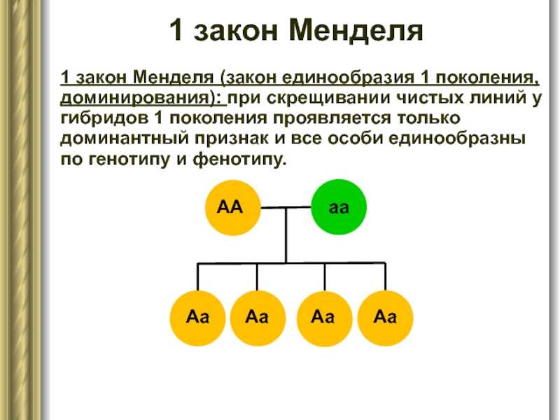 Законы менделя кратко и понятно