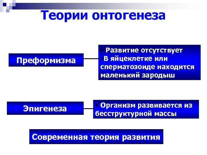 Эмбриология - embryology