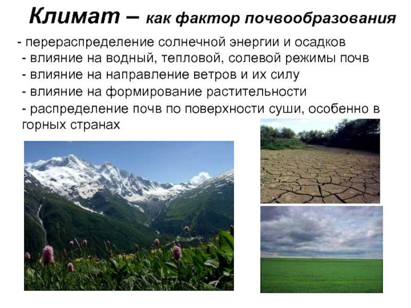 Почвоведение
