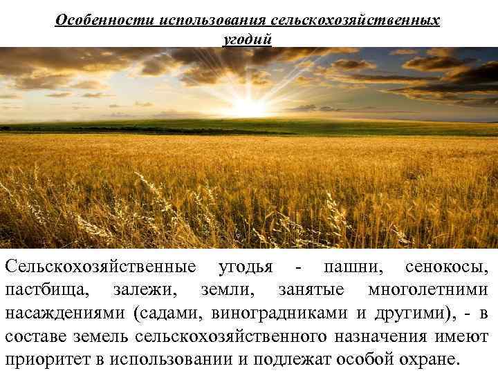 Сберегающая технология поверхностного улучшения природных сенокосов и пастбищ для степной зоны — 15.03.2016 — ip 30913 — база патентов казахстана