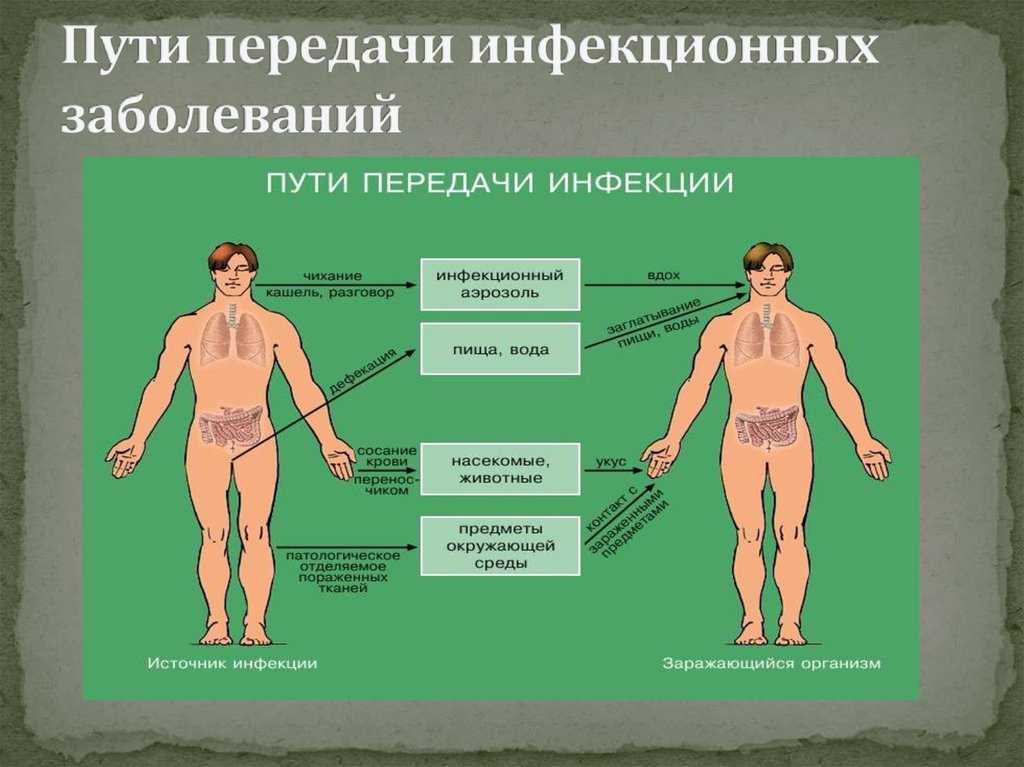Уравнение распространения коронавируса |