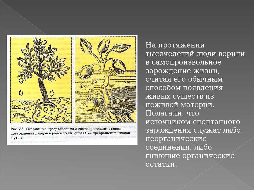 7 научных теорий о происхождении жизни (и 5 ненаучных версий того же) / алекс а. алмистов
