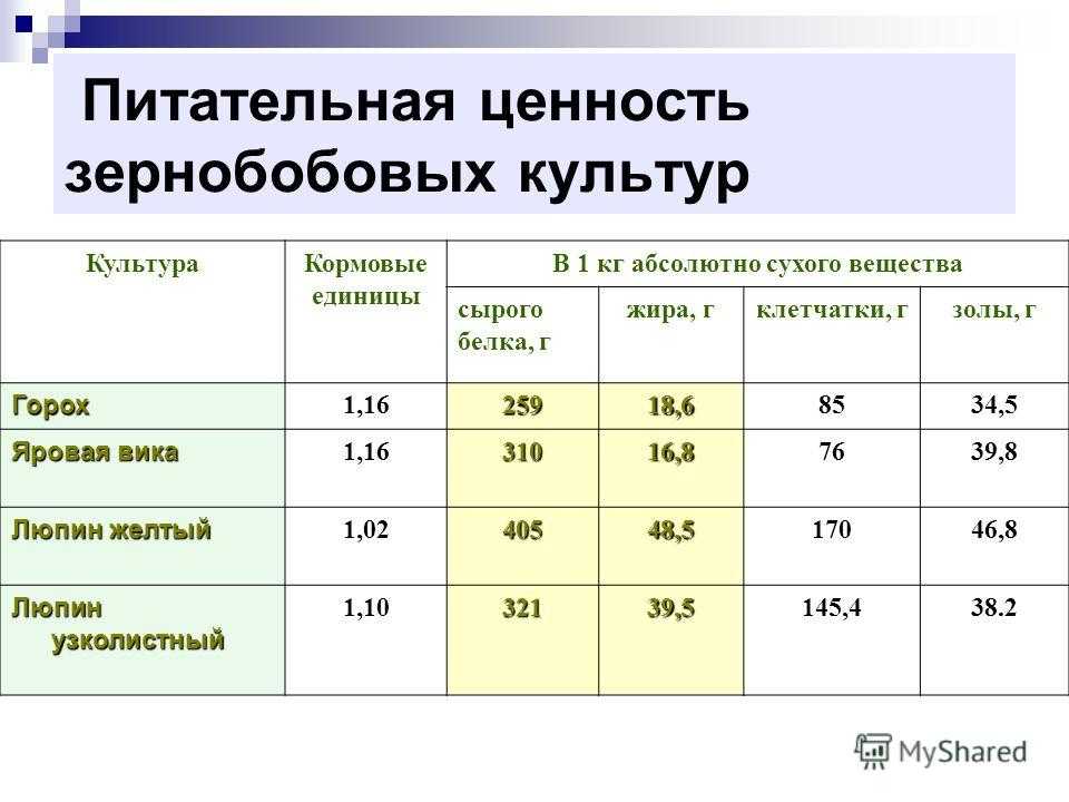 Зерновы́е культу́ры