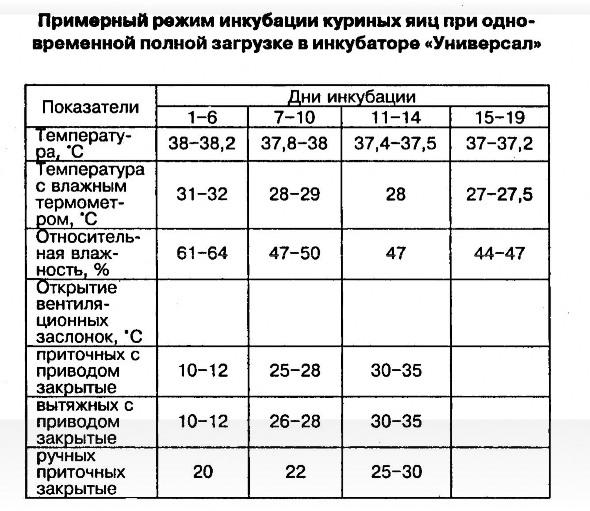 Инкубация куриных яиц в домашних условиях: режимы и температура, таблицы