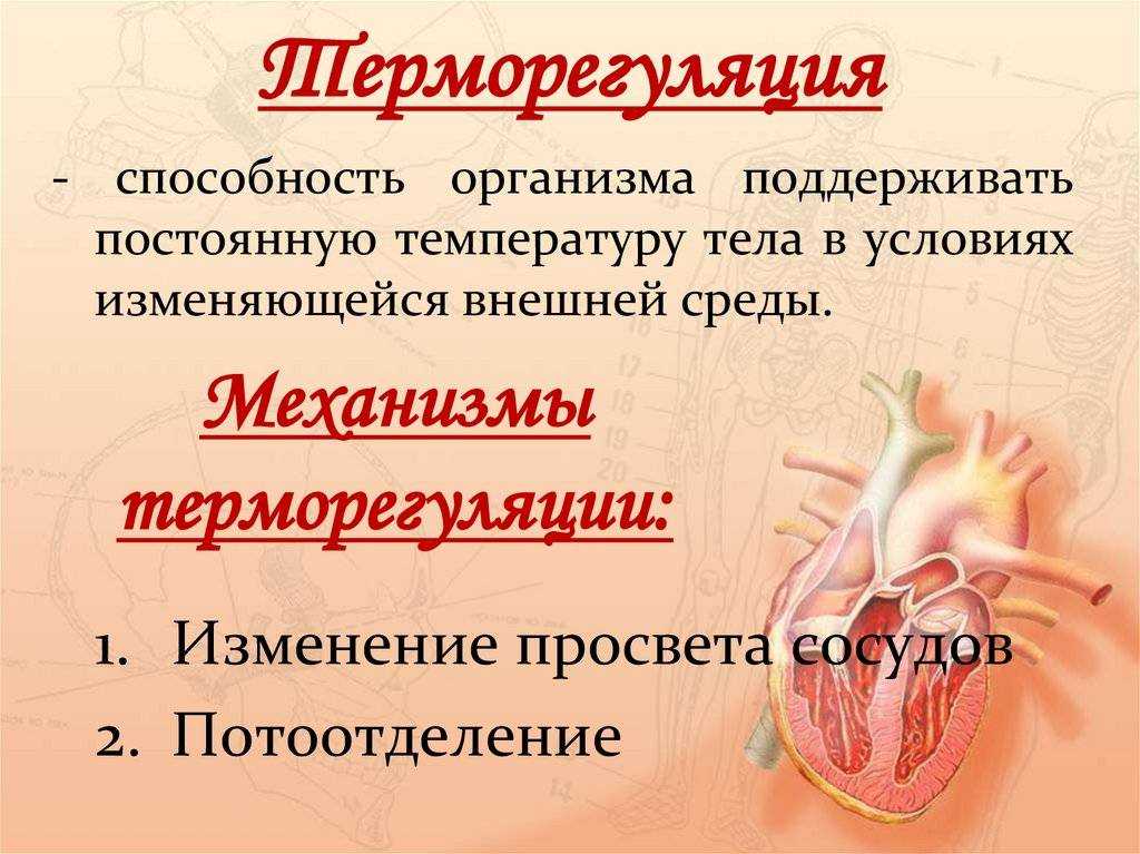 Параграф 27 - естествознание. 10 класс. габриелян о. с.
