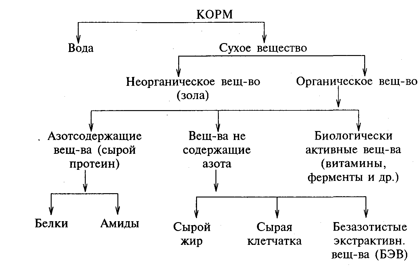 Концентрированный корм: типы, состав, требования по качеству и питательность