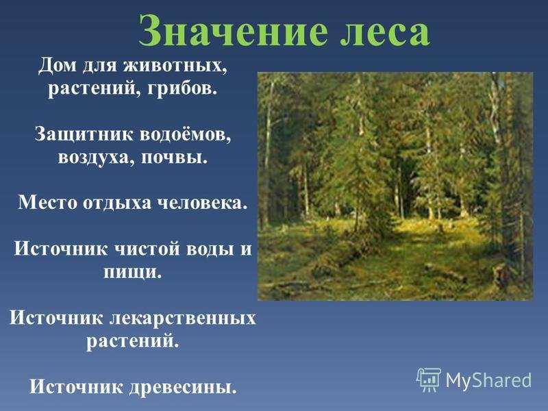 Лес - хранитель влаги [1975 небесный с.и. - лес, друг земледельца]
