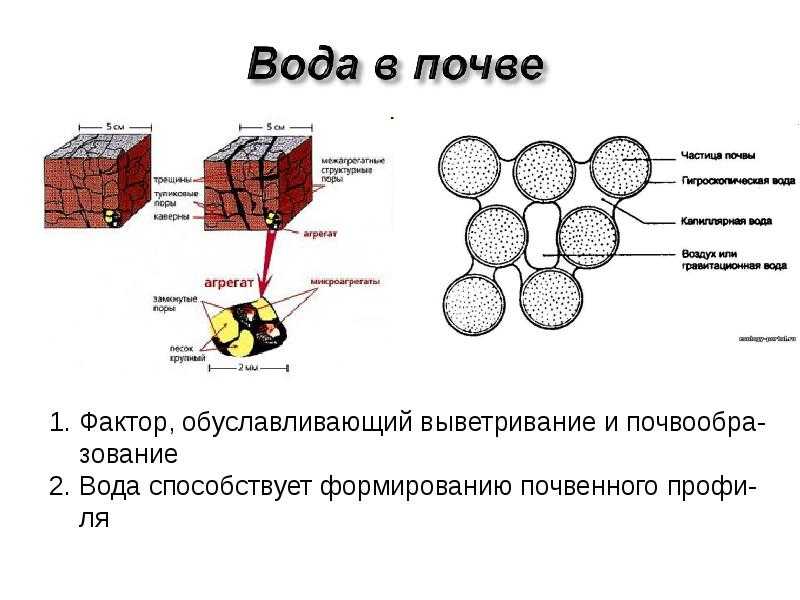 Воздушные свойства и воздушный режим почв