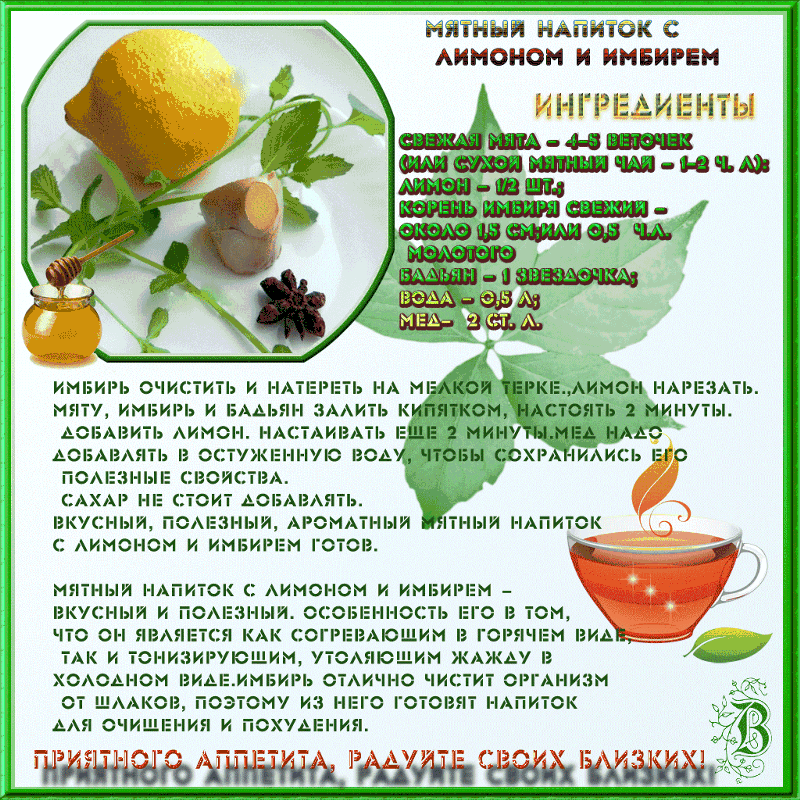 Allium sativum l.описание таксона