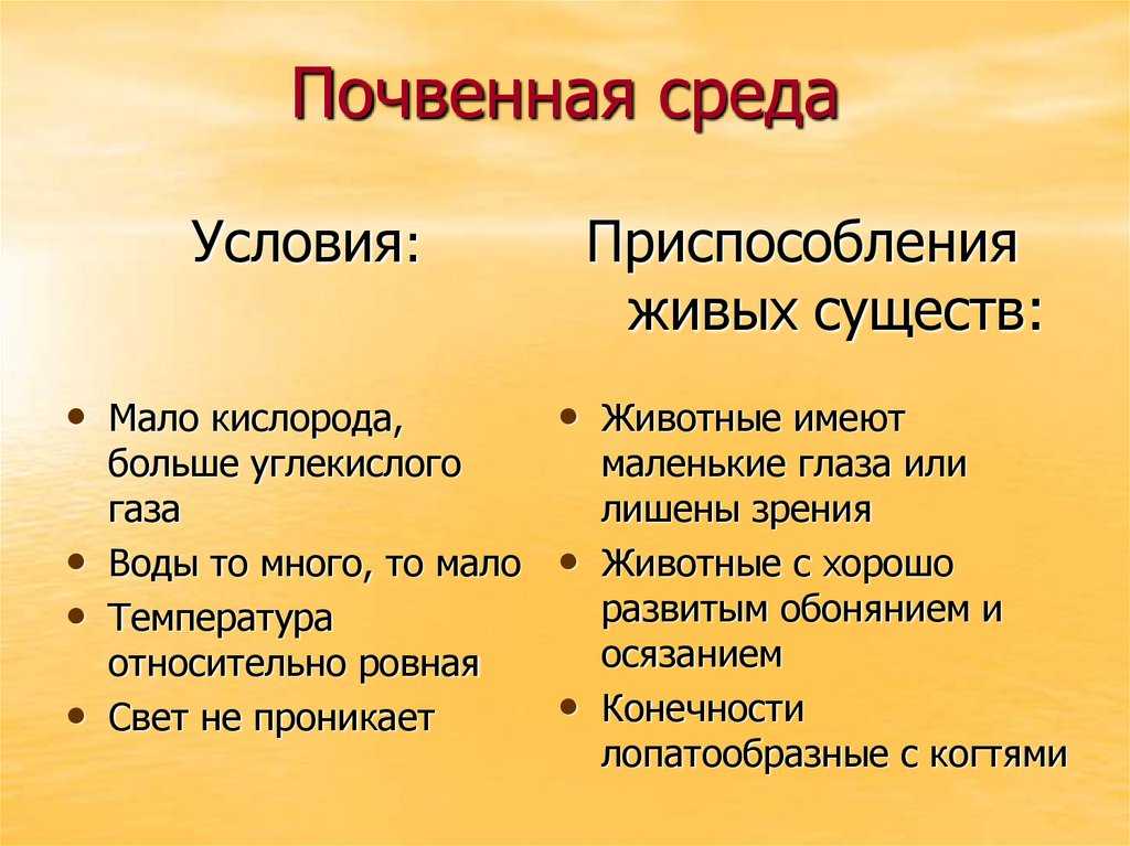 Микробиоценозы воздуха, водоемов и почв - экологическая микробиология - м. и. чернявская - 2016