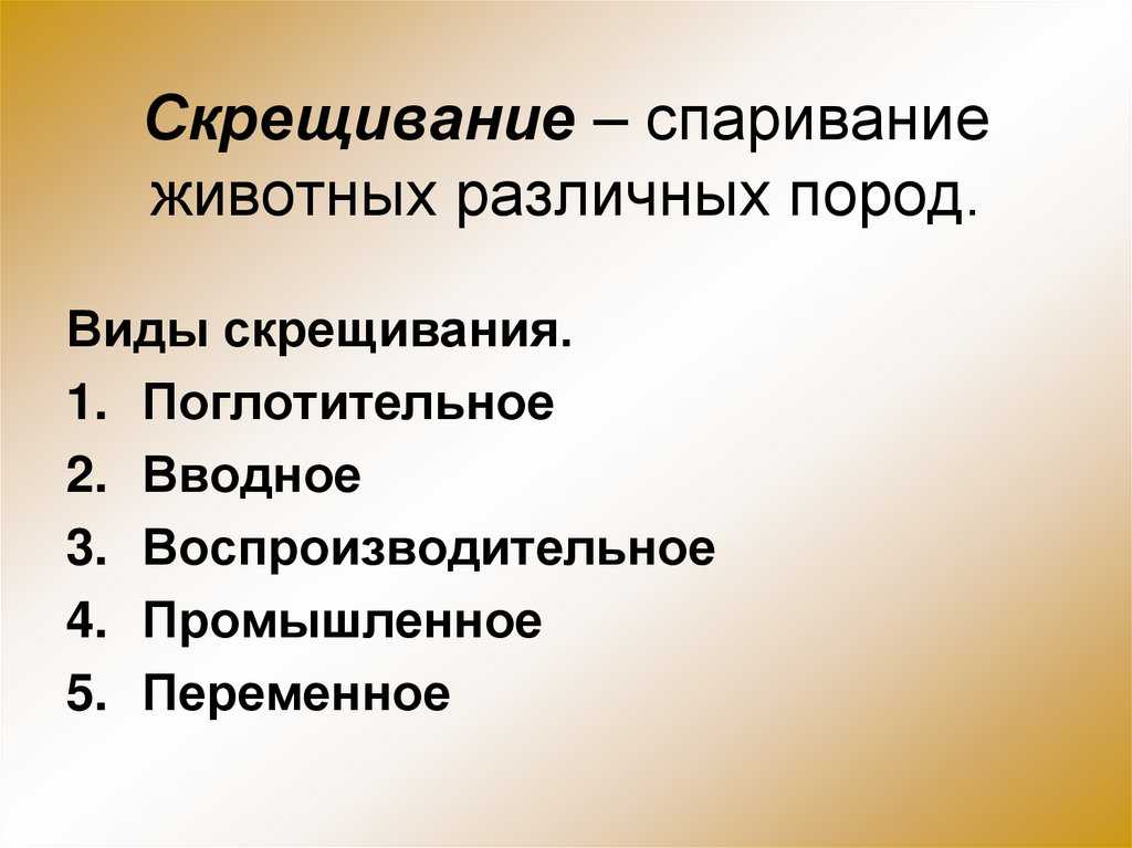 Как скрещивать овец? выбор пород и скрещивания | усадьба фермера