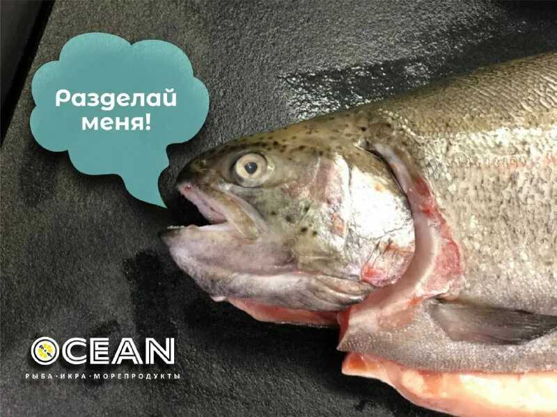 Отравление рыбой: симптомы и лечение интоксикации дома