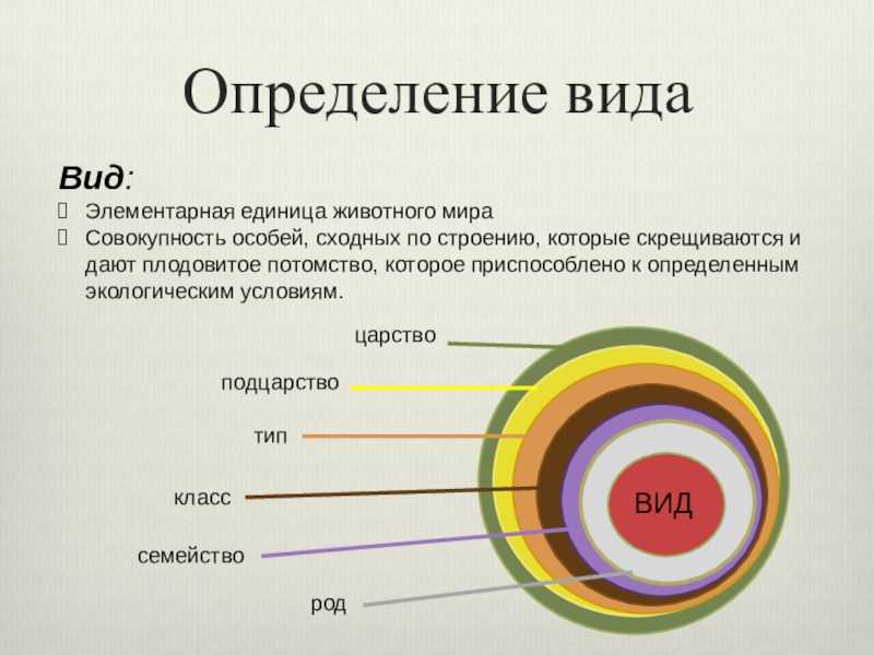 Популяция, вид, способы видообразования. микроэволюция | эволюция органического мира | теория | решутест. продвинутый тренажёр тестов