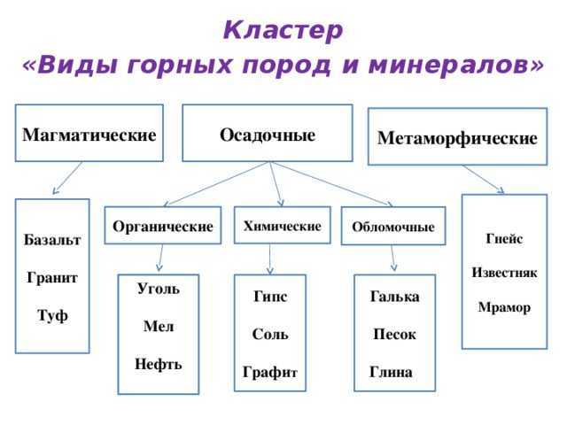 Какие бывают породы собак: