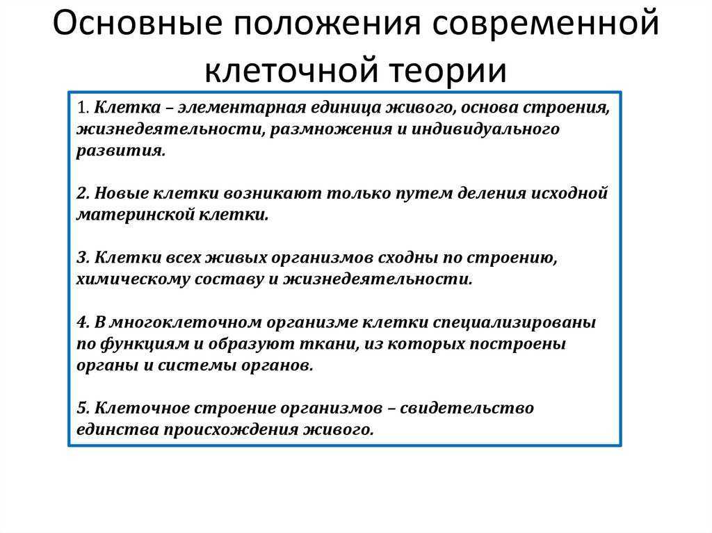 Клеточная теория основные положения современной клеточной теории. Перечислите основные положения клеточной теории 10 класс. Основные положения теории клеточная теория. Основные положения клеточной теории кратко.