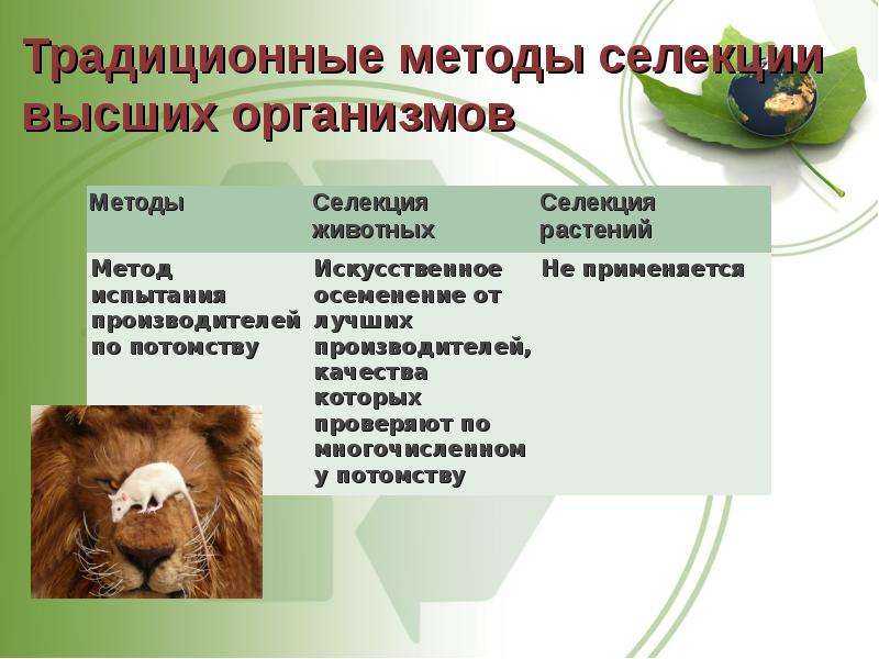 Селекция растений животных и микроорганизмов