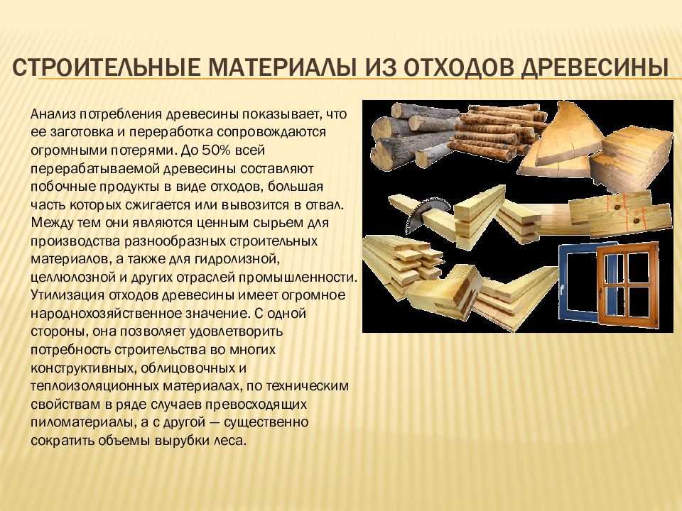 Бактерии роль в разложении