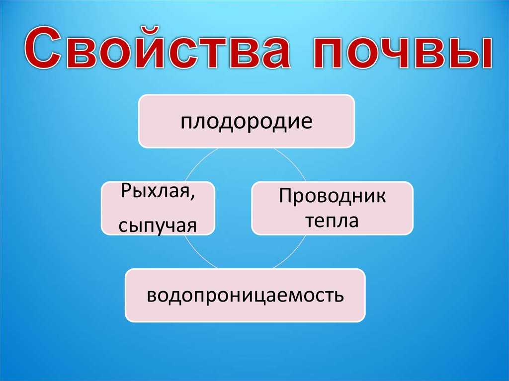 Структура почвы, общие физические и механические свойства почв