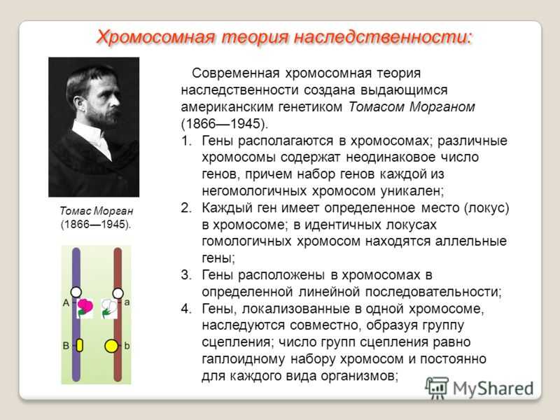 Происхождение мутаций: геномные, хромосомные, генные мутации