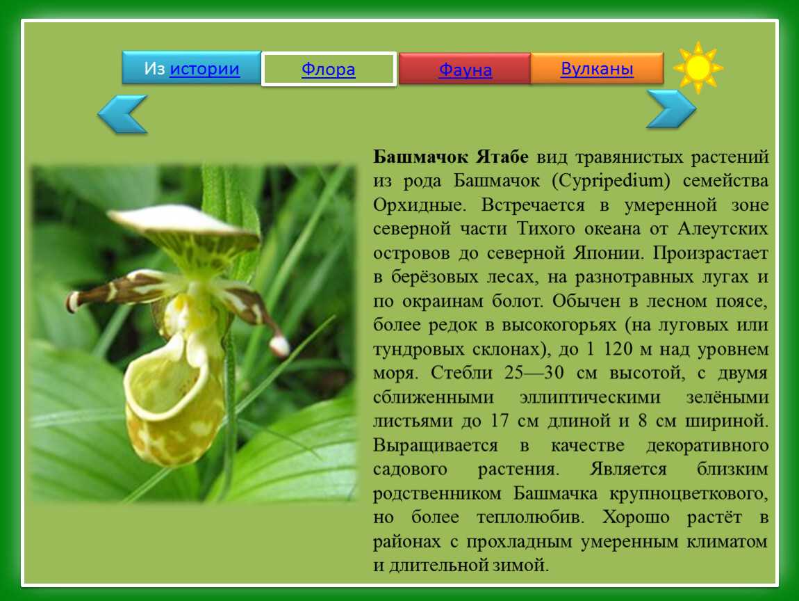 Что в географии называют эстуарием? определение, примеры и типы