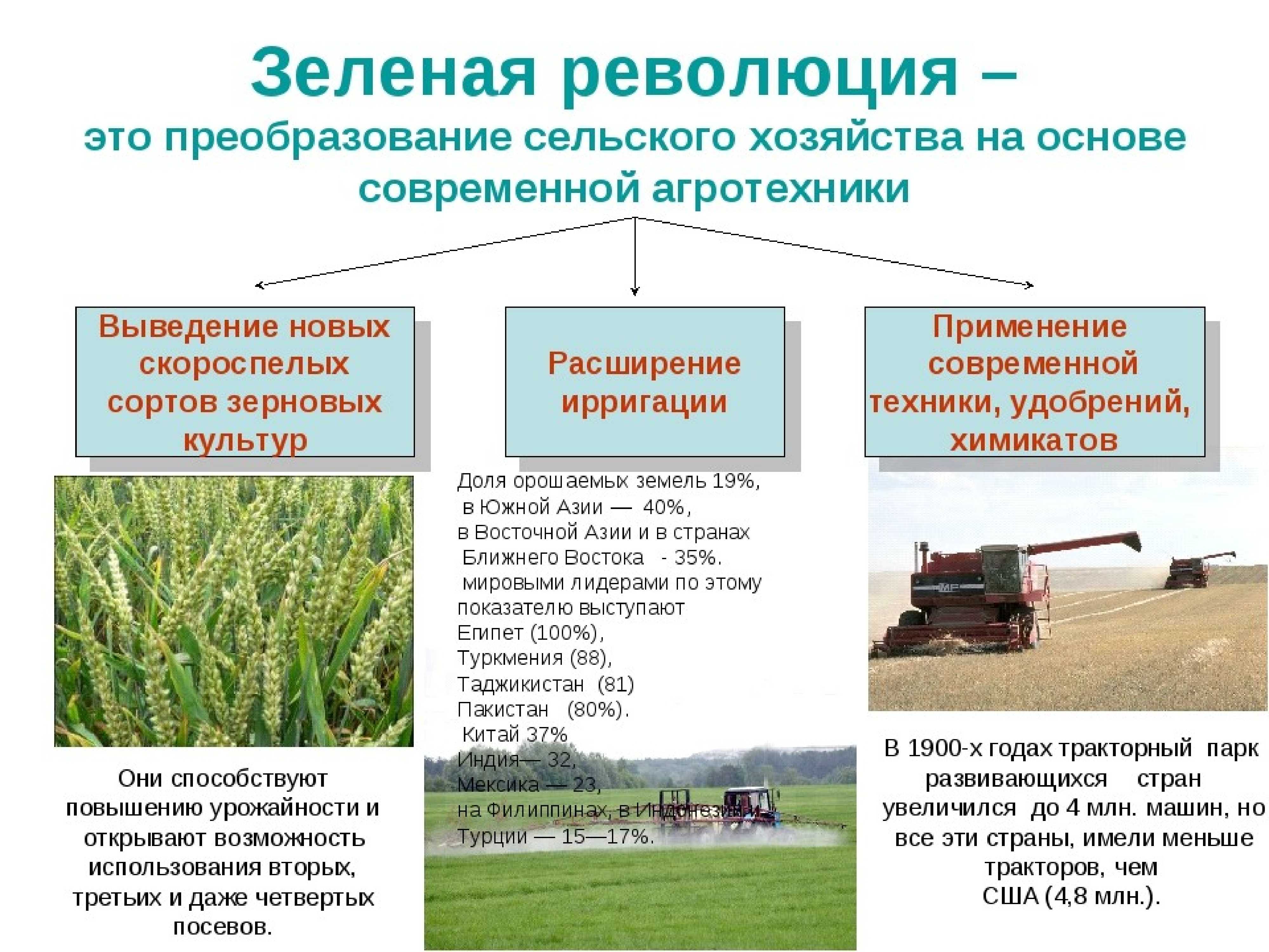 Сортовые ресурсы и повышение конкурентоспособности продукции растениеводства
