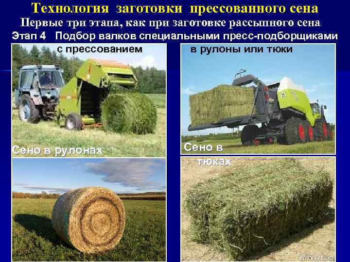 Новые технологии производства сена методом активного вентилирования (стр. 1 из 4)
