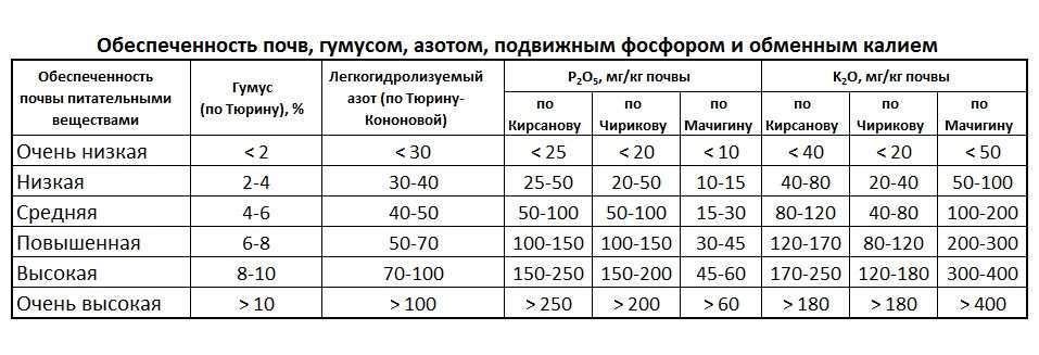 Органические вещества для почвы: их роль, образование и виды