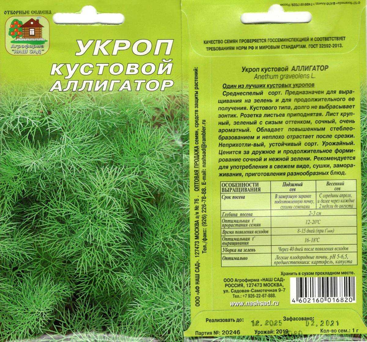 20+ холодостойких овощей: что сажать в первую очередь