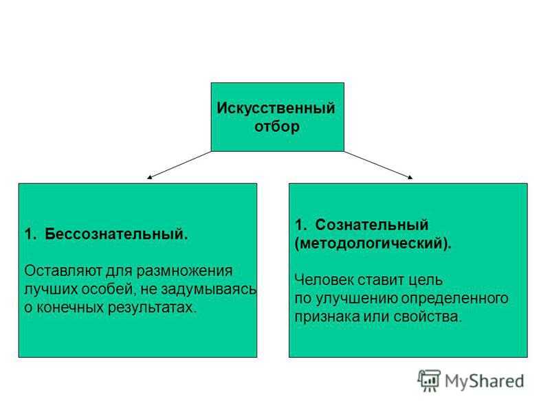 Искусственный отбор. виды, формы, результат, таблица.