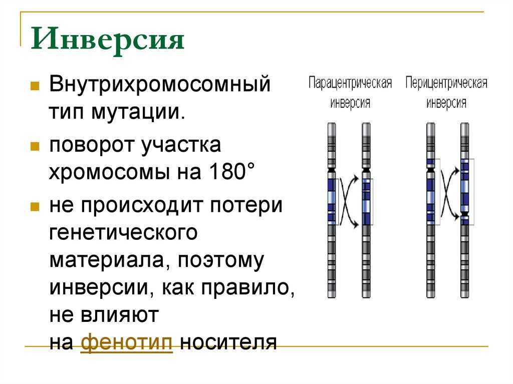 Инверсия хромосомы - врачебная тайна