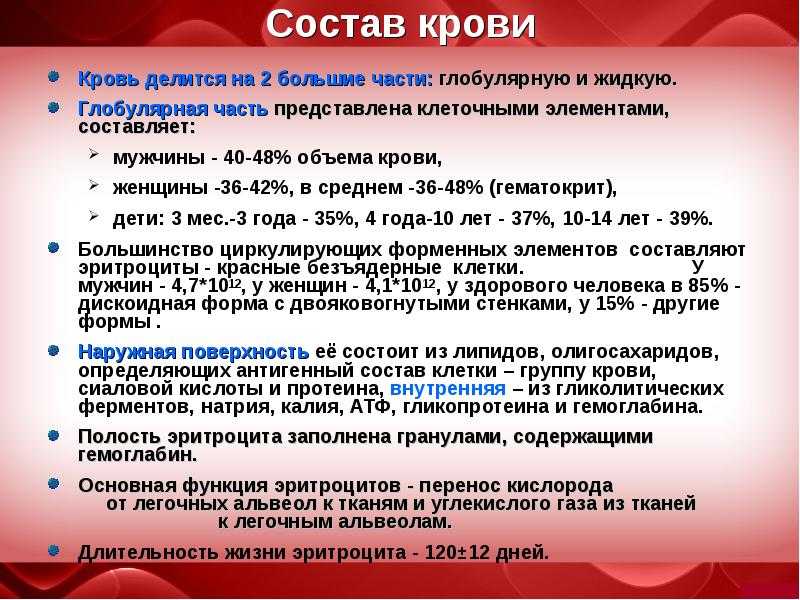 Гемолимфа и кровь: в чем разница?