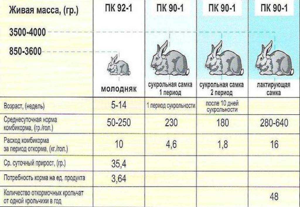 Лучшие корма для кроликов